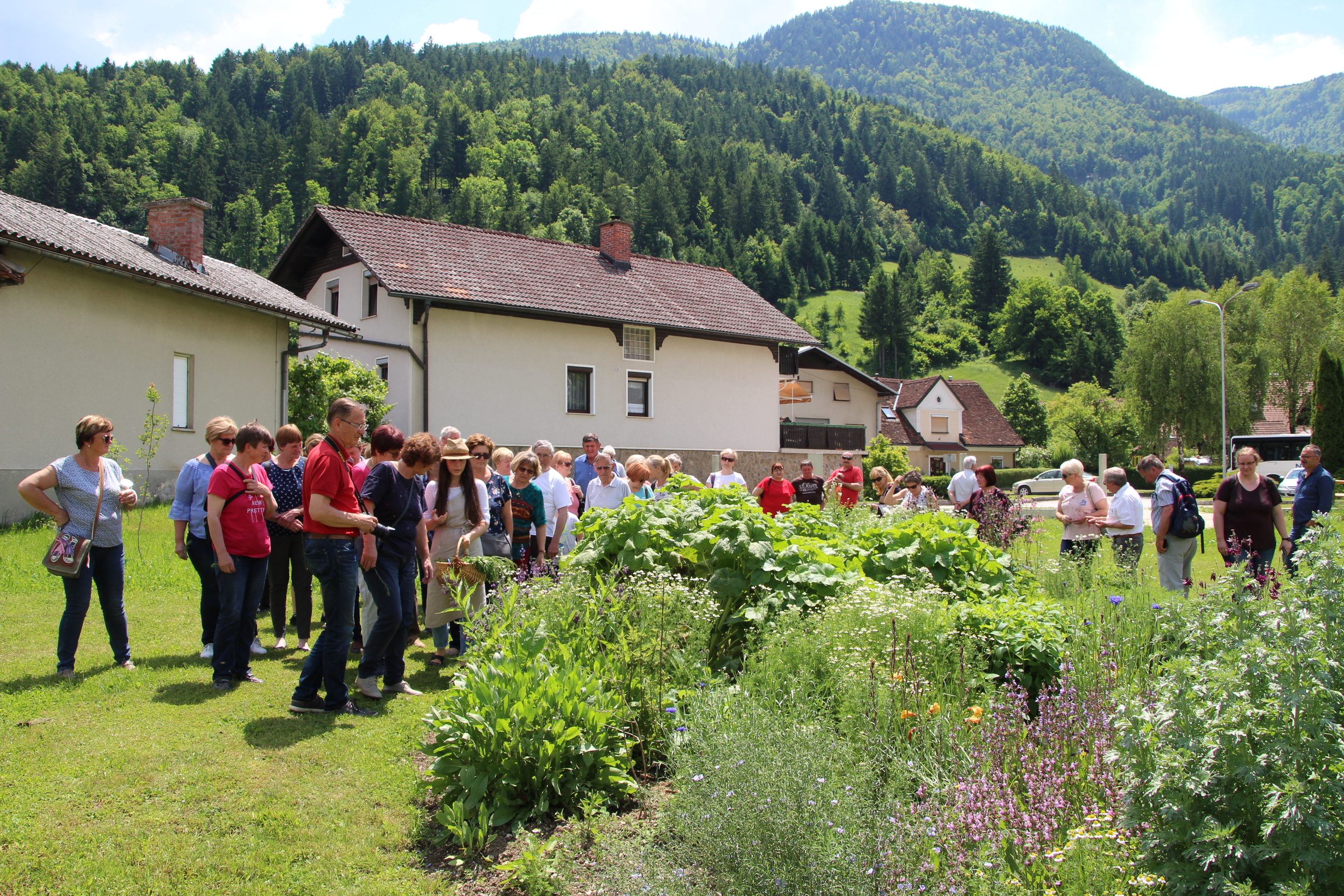 Webp.net resizeimage 4